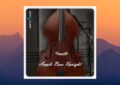 Ample Sound Ample Bass Upright 4.0.1 Update (Standalone, VST2, VST3, AAX, AU x64 Win/macOS)