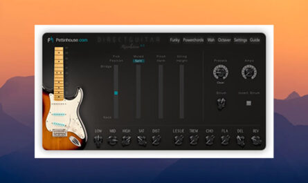 Pettinhouse DirectGuitar 4.0.0 (Kontakt)
