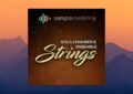 Sample Modeling Solo Chamber & Ensemble Strings (KONTAKT)