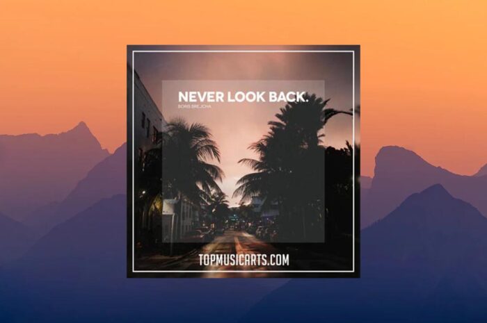Top Music Arts Boris Brejcha Never Look Back [Ableton Remake] (WAV, Ableton Project)
